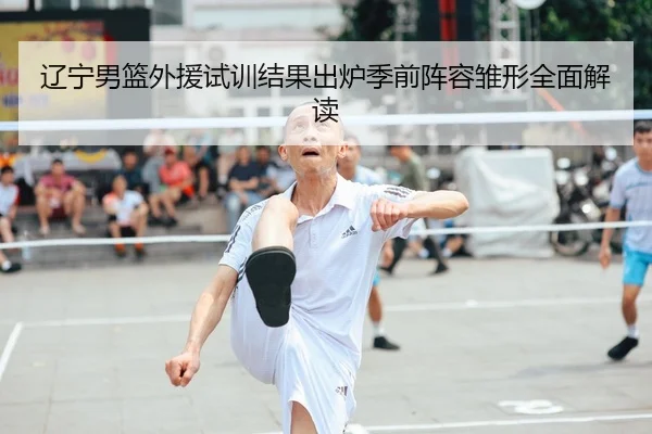 辽宁男篮外援试训结果出炉季前阵容雏形全面解读