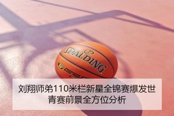 刘翔师弟110米栏新星全锦赛爆发世青赛前景全方位分析